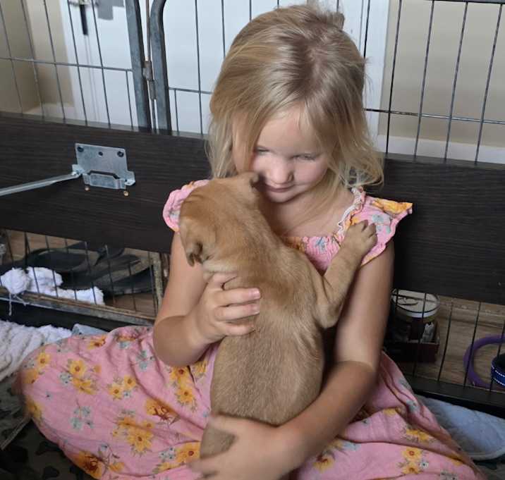 Photo of Twix (Formerly James) 