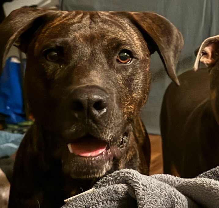 Photo of Johnny Cash