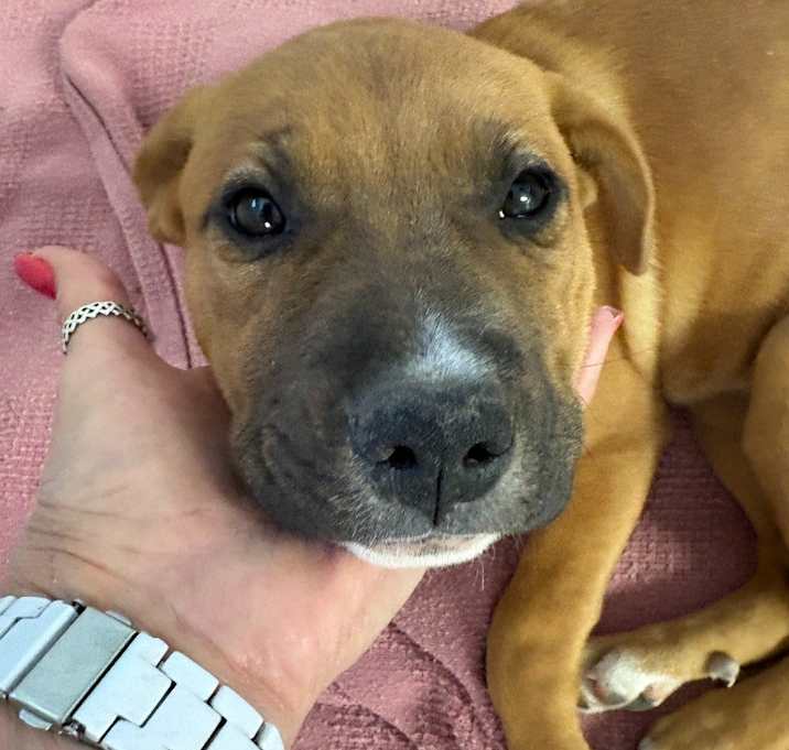 Photo of CS1 Wassail