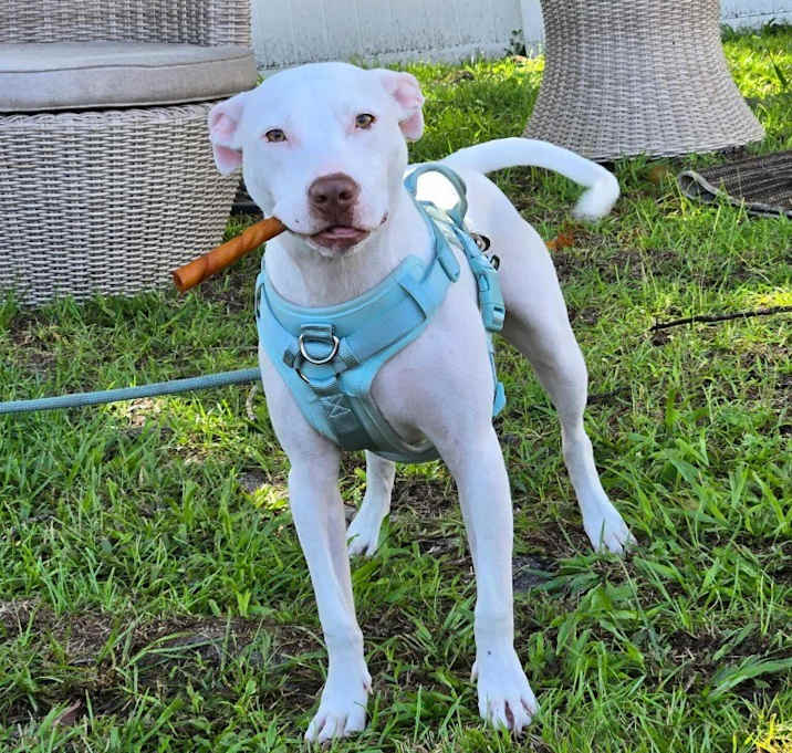 Photo of Raynee (FKA) Avocado