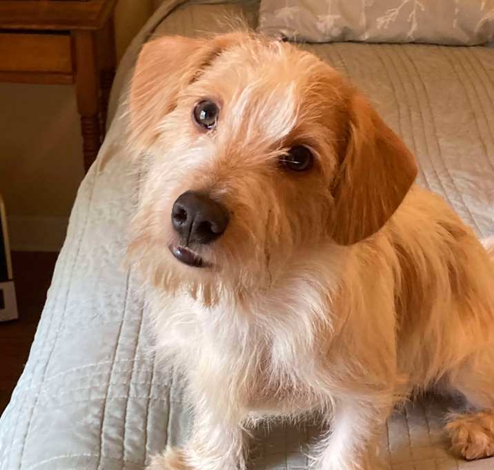 Photo of Fred Murphy