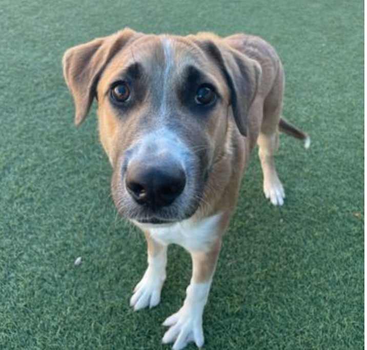 Photo of Michelle Eagle Spirit