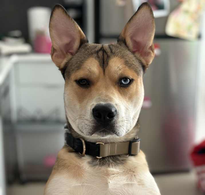 Photo of Kyrie aka Ky