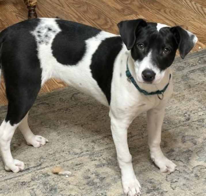 Photo of Izzy Kirkland