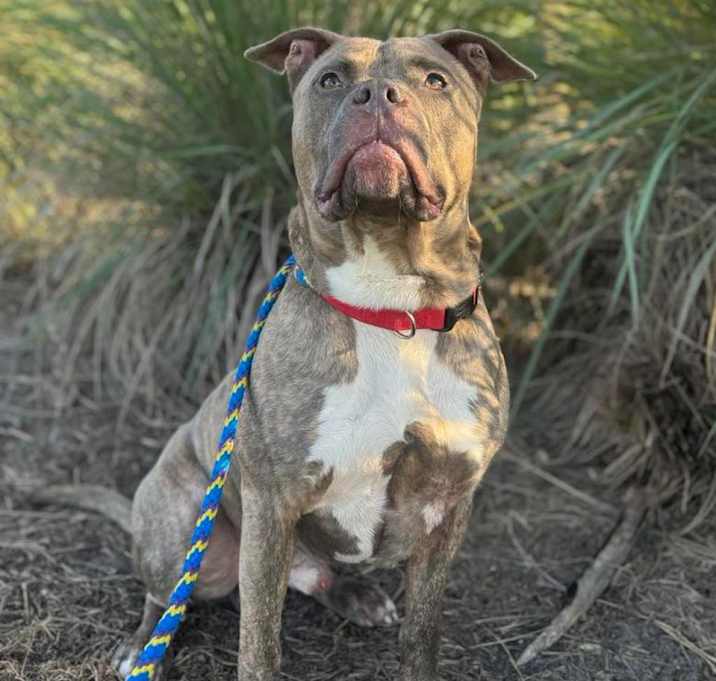 Photo of Humpty Dumpty