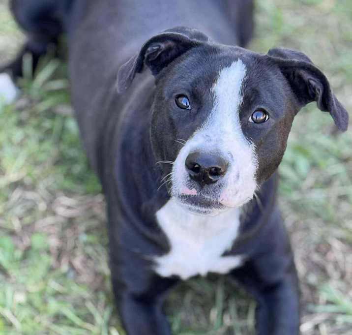 Photo of TRINITY/URGENT