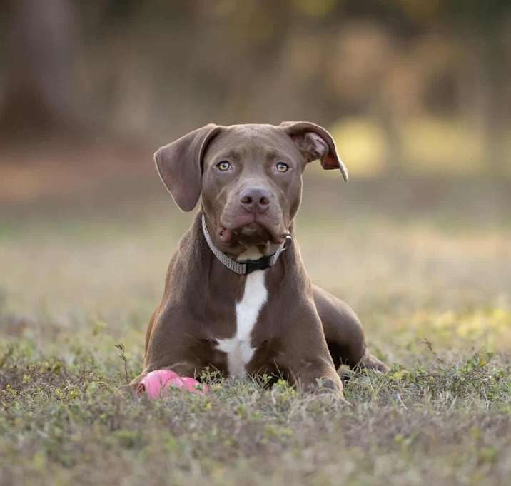 Photo of Daisy Belle