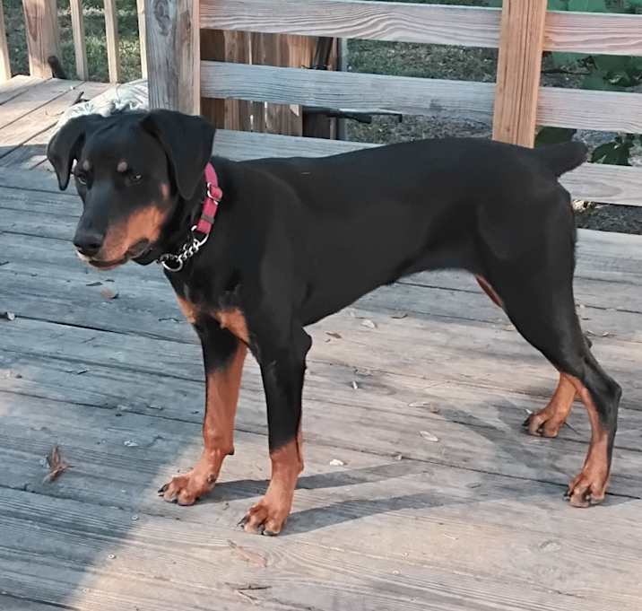 Photo of Mia (My- A)