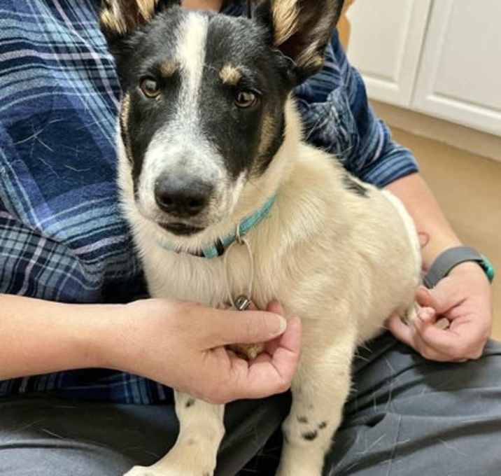 Photo of Charlie Brown