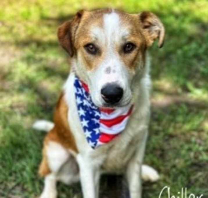 Photo of Johnny 33713