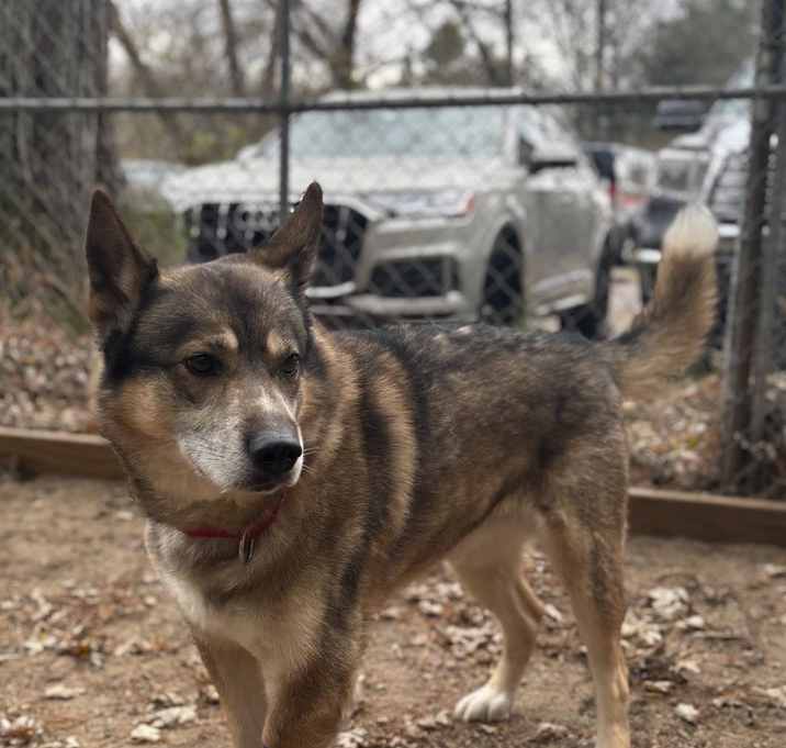 Photo of Russell - 25279