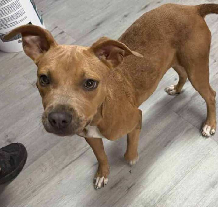 Photo of REIGN/URGENT