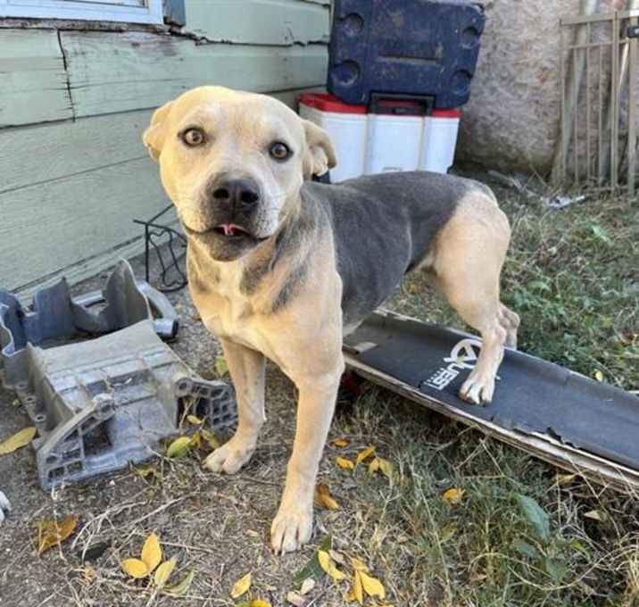 Photo of TUTTI FRUTTI