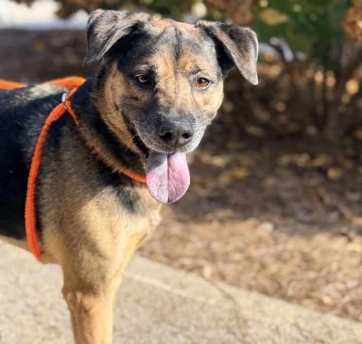 Photo of Charlie Brown