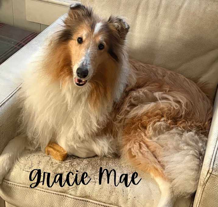 Photo of Gracie Mae