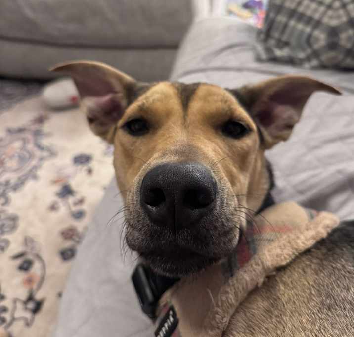 Photo of Momma Belle Henson