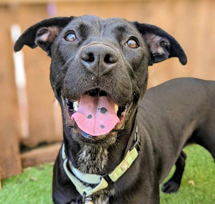 Photo of Billie Jean