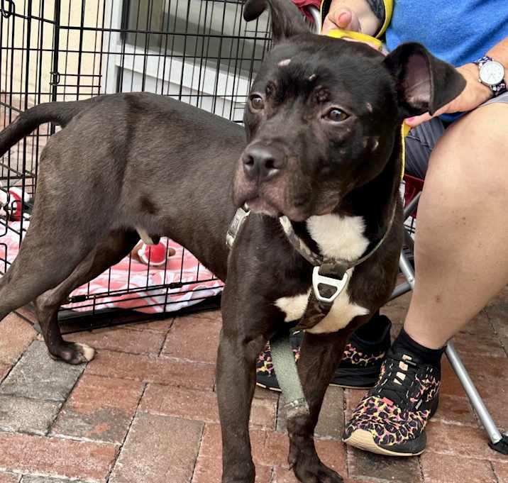 Photo of Johnny Cash