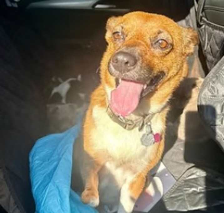 Photo of Billie Jean