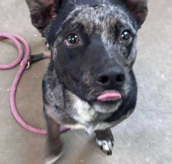 Photo of Eden- cutest wiggle butt