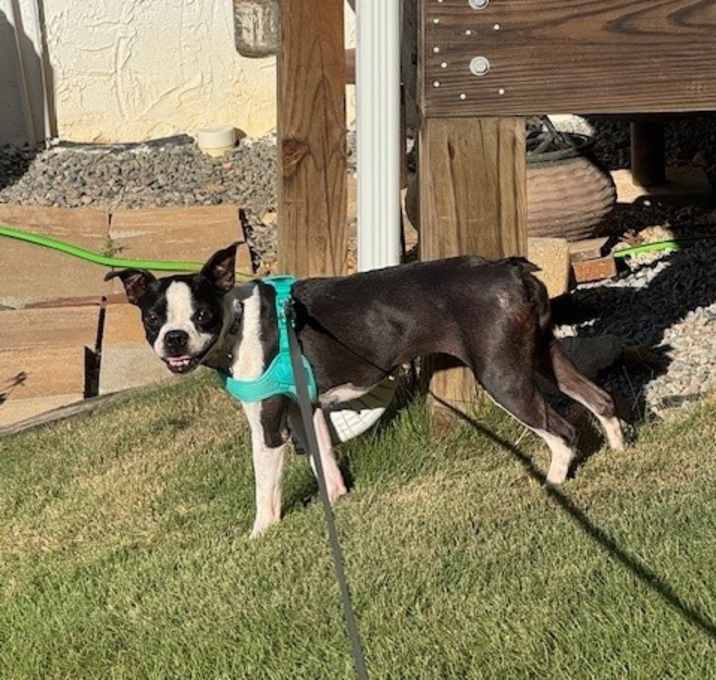 Photo of Mimi Hana-4183GA