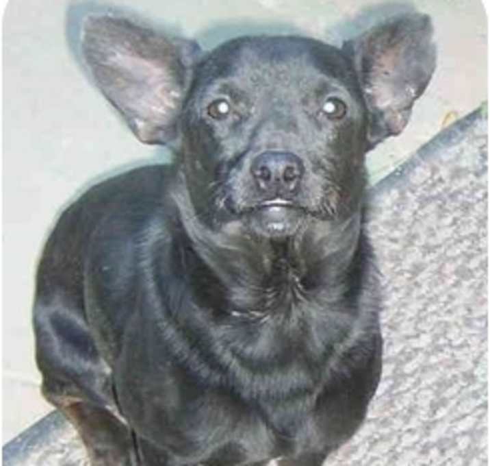 Photo of Timmy 1