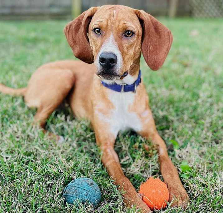 Photo of LUCILLE BALL