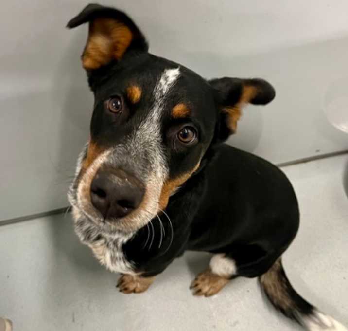 Photo of Doc Holiday