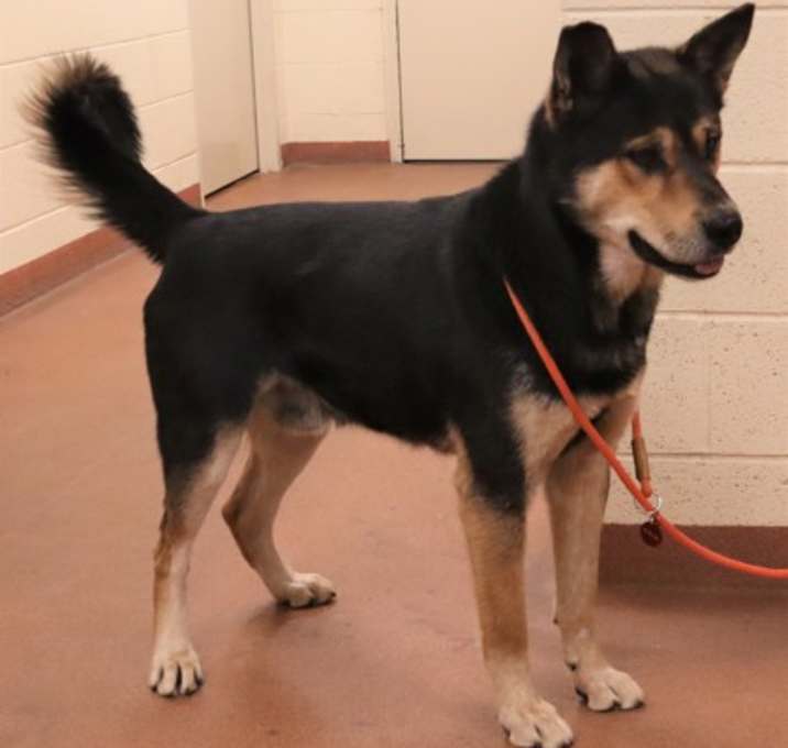 Photo of 91766 Alpha