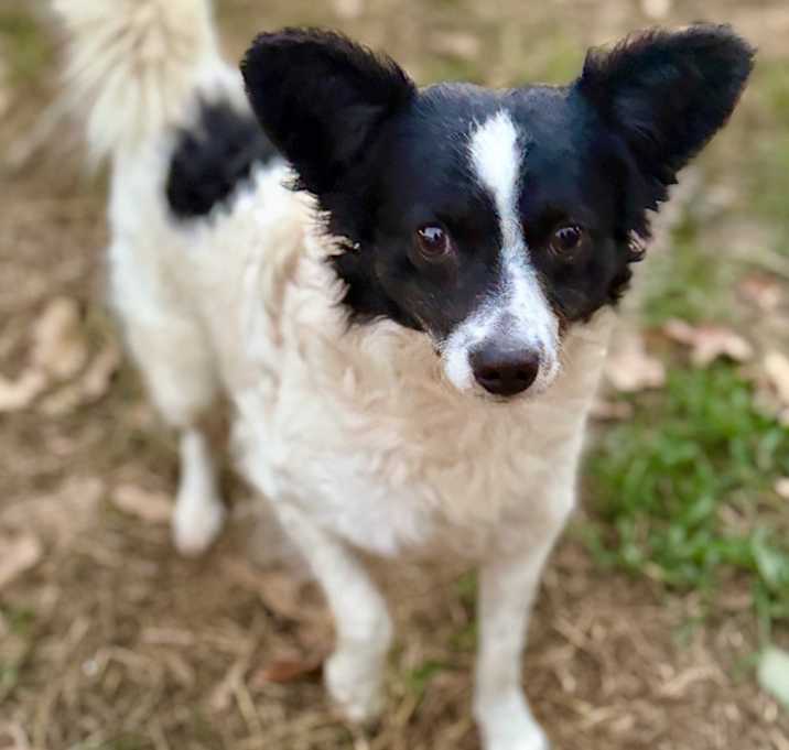 Photo of Legend 25-10-141