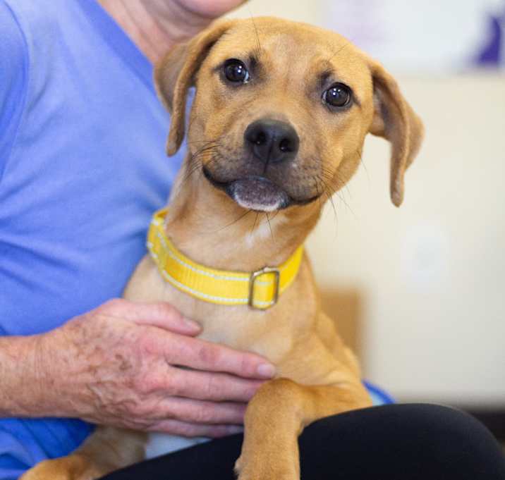 Photo of Tayum 21620