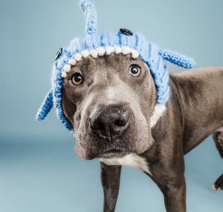 Photo of Scuba Steve