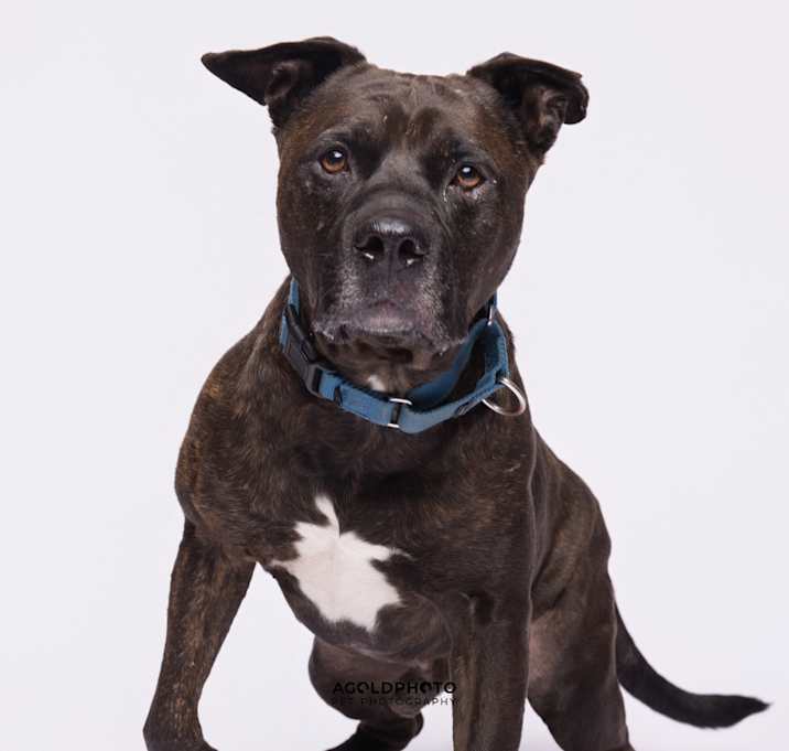 Photo of Steele 💎