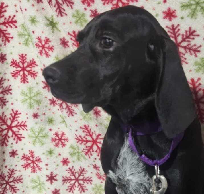 Photo of Phillip $500