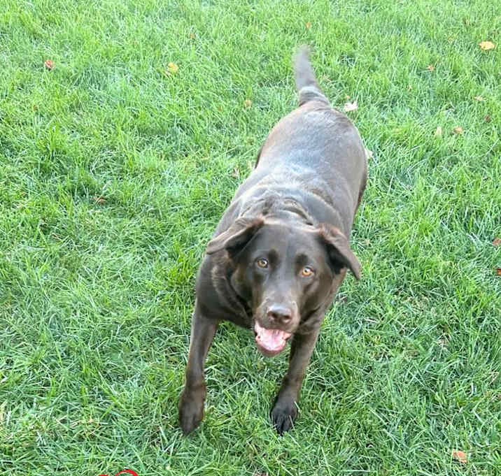 Photo of Autumn (Courtesy Post)