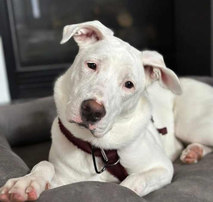 Photo of Lizzie Elsa