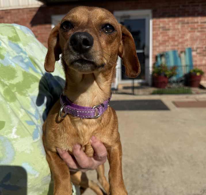 Photo of Wrigley Westbrook