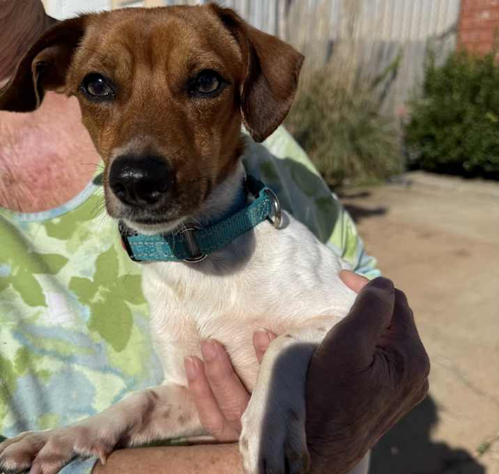 Photo of Wizard Waverly