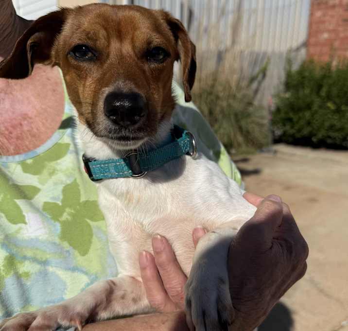 Photo of Wizard Waverly