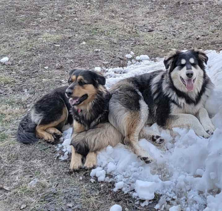Photo of Bettina and Carl
