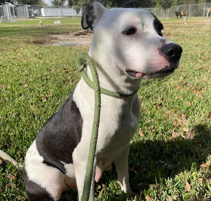 Photo of Miss November