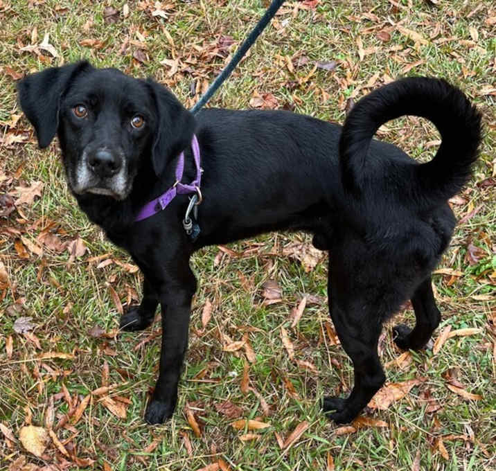 Photo of Ronald / Jitterbug