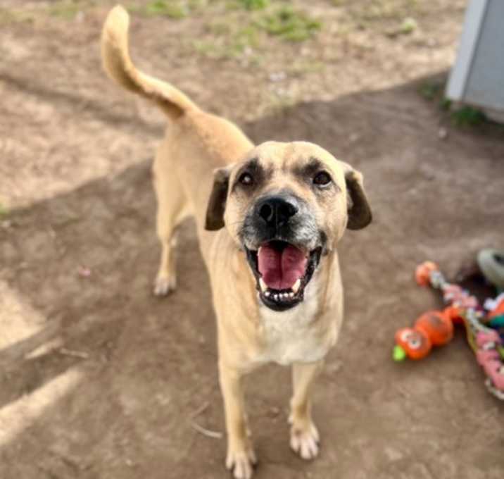 Photo of 91771 Sammy