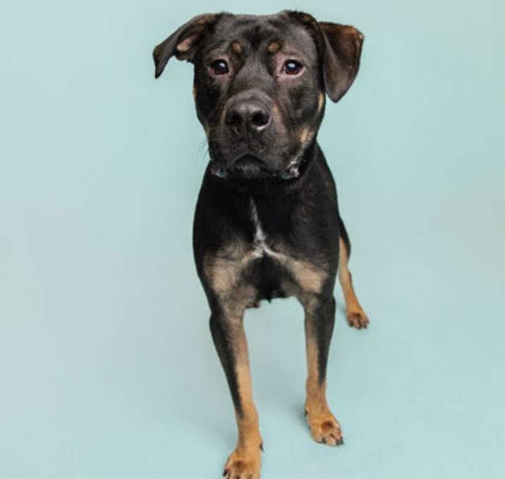 Photo of Bionic Milo