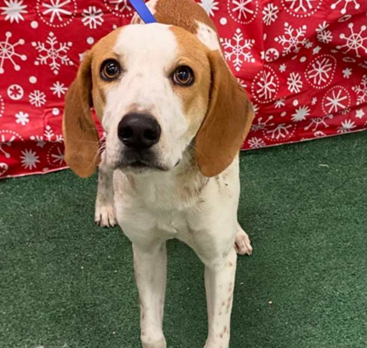 Photo of Saxton DIRC 11/25/25