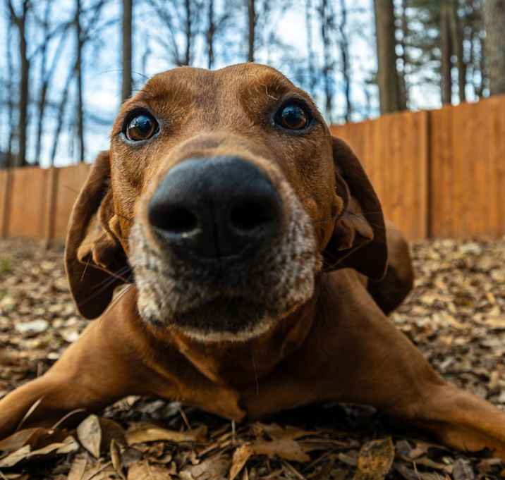 Photo of Big Sky (I have a Secret Crush!)