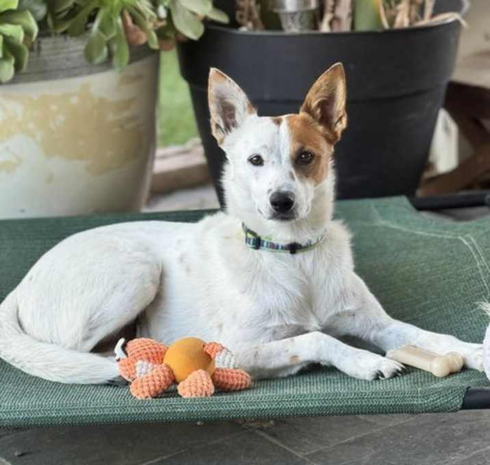 Photo of Anne Hathaway