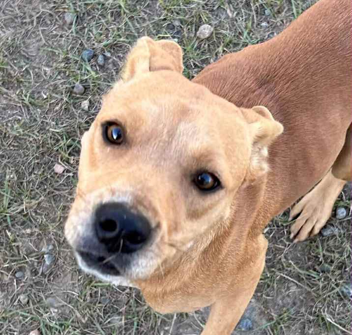 Photo of JOLLY/URGENT