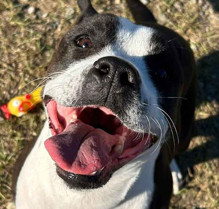 Photo of NUTMEG/URGENT