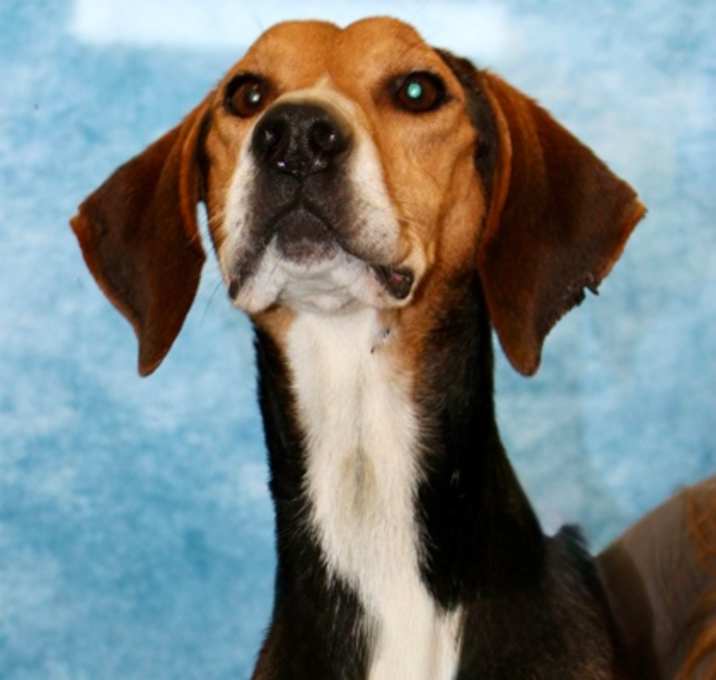 Photo of Marcus (HW+) (Sponsored + Hw T